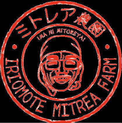 西表島ミトレア農園